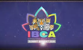 14 Countries To Participate In International Big Cat Alliance Summit 2026 In India 14 Countries To Participate In International Big Cat Alliance Summit 2026 In India