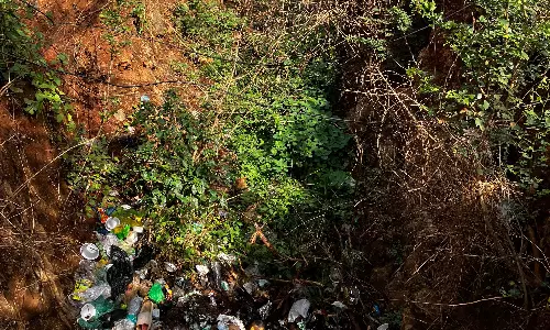 Bandipur’s Elephant-Proof Trenches Now Filled With Trash and Human Waste