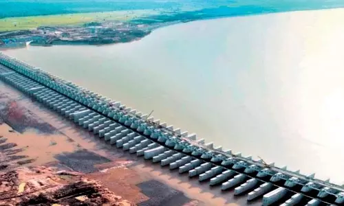 Irrigation Engineers Fix Alignment, Helping Chaprala Wildlife Sanctuary at Pranahita-Chevella Barrage Site