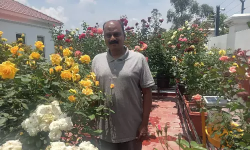 Kotagiri Resident Amazes With 160 Rose Varieties In Home Garden Kotagiri Resident Amazes With 160 Rose Varieties In Home Garden