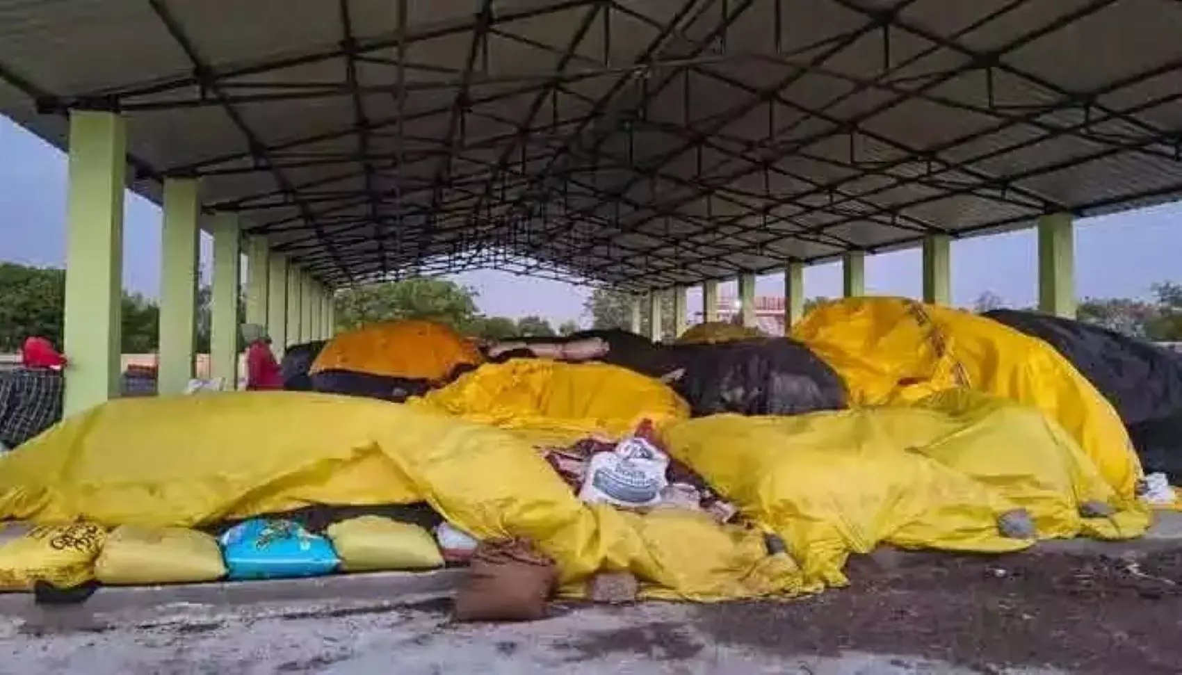 Sunflower Farmers Hit As Stocks Pile Up Awaiting Purchase