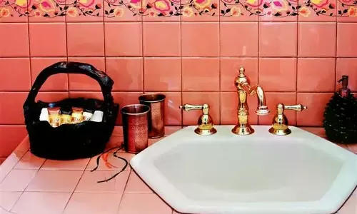 Celebrities Tap into Their Good Loo-Ks