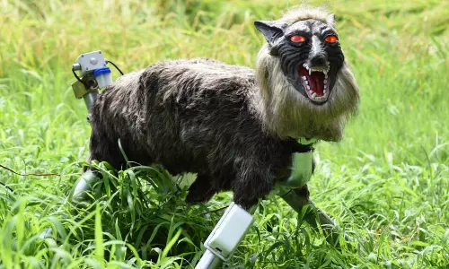 Japan Robot Wolves In High Demand To Scare Off Bears