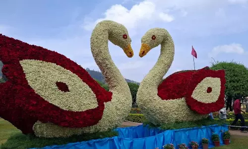 Ooty Rose Garden Turns into Birds Paradise Ooty Rose Garden Turns into Birds Paradise