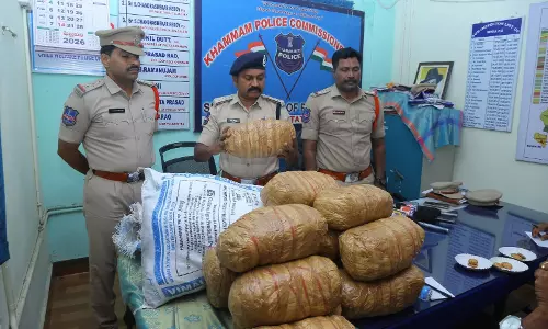 Wyra Police Seize 128 kg Ganja, Arrest Three Inter-State Smugglers