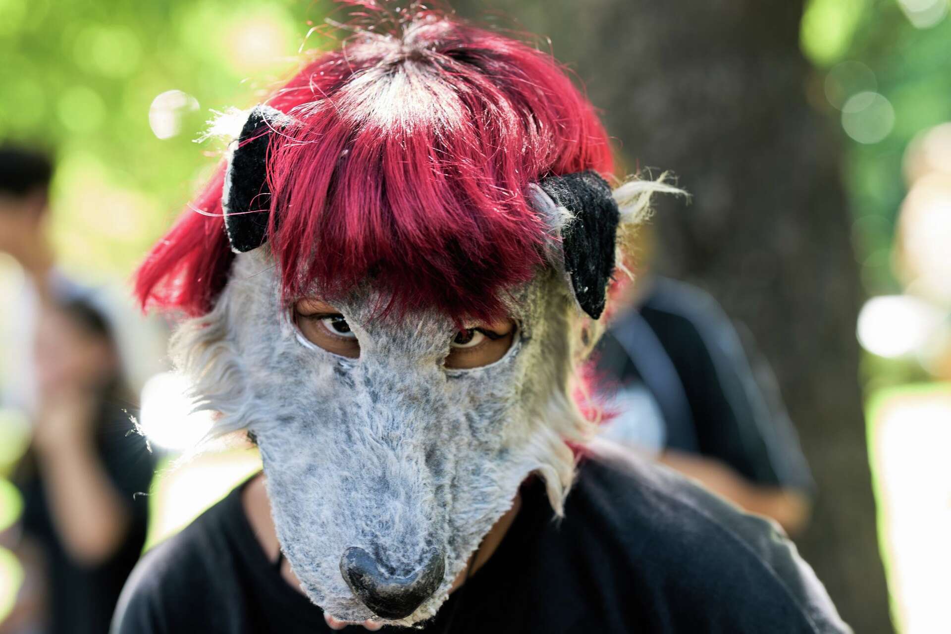 Argentina's Viral Phenomenon : Youngsters Identify Themselves As Animals - Deccan Chronicle thumbnail