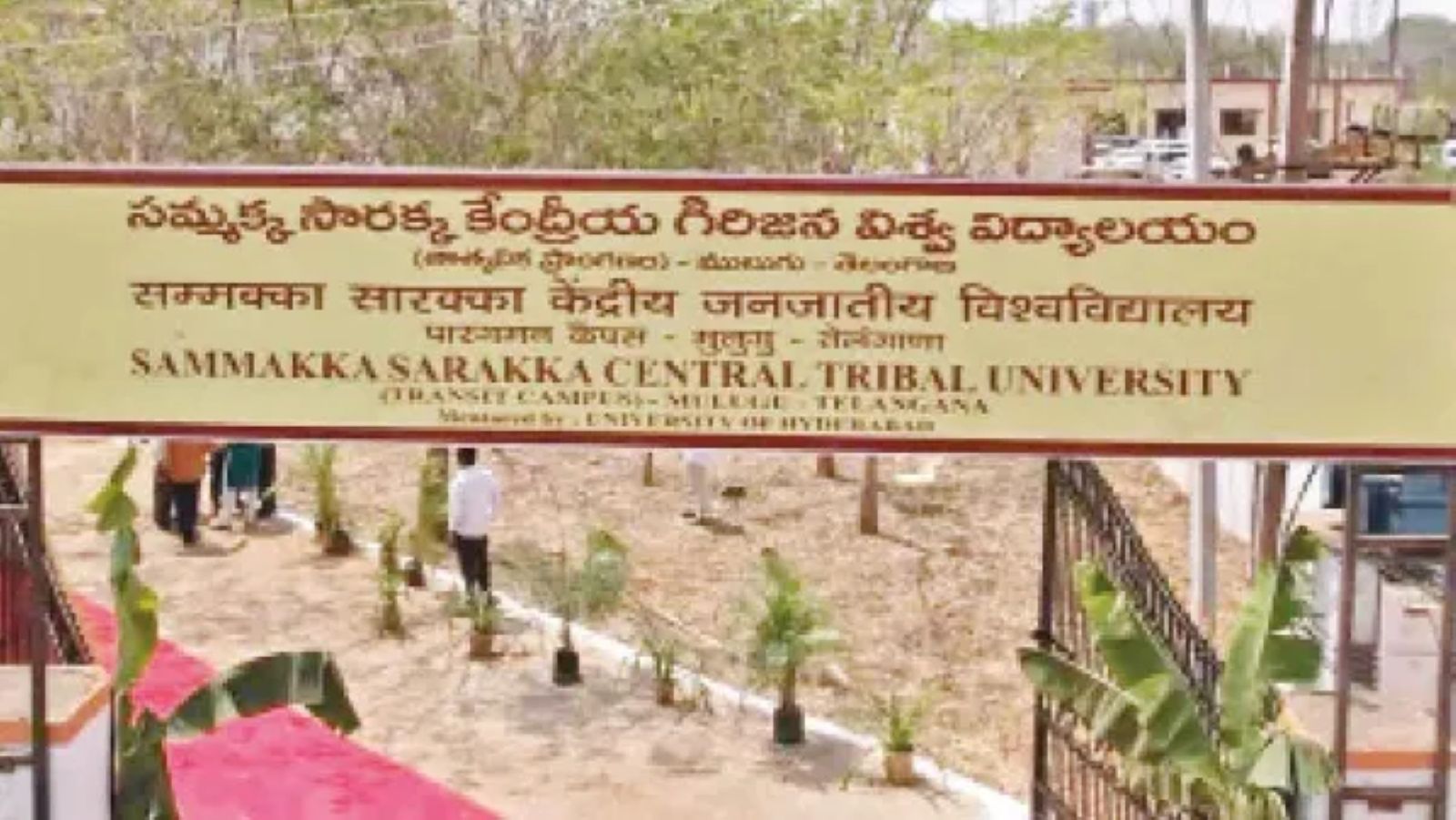 Tribal Varsity VC Seeks Heritage Probe Into Historic Stays Tribal Varsity VC Seeks Heritage Probe Into Historic Stays