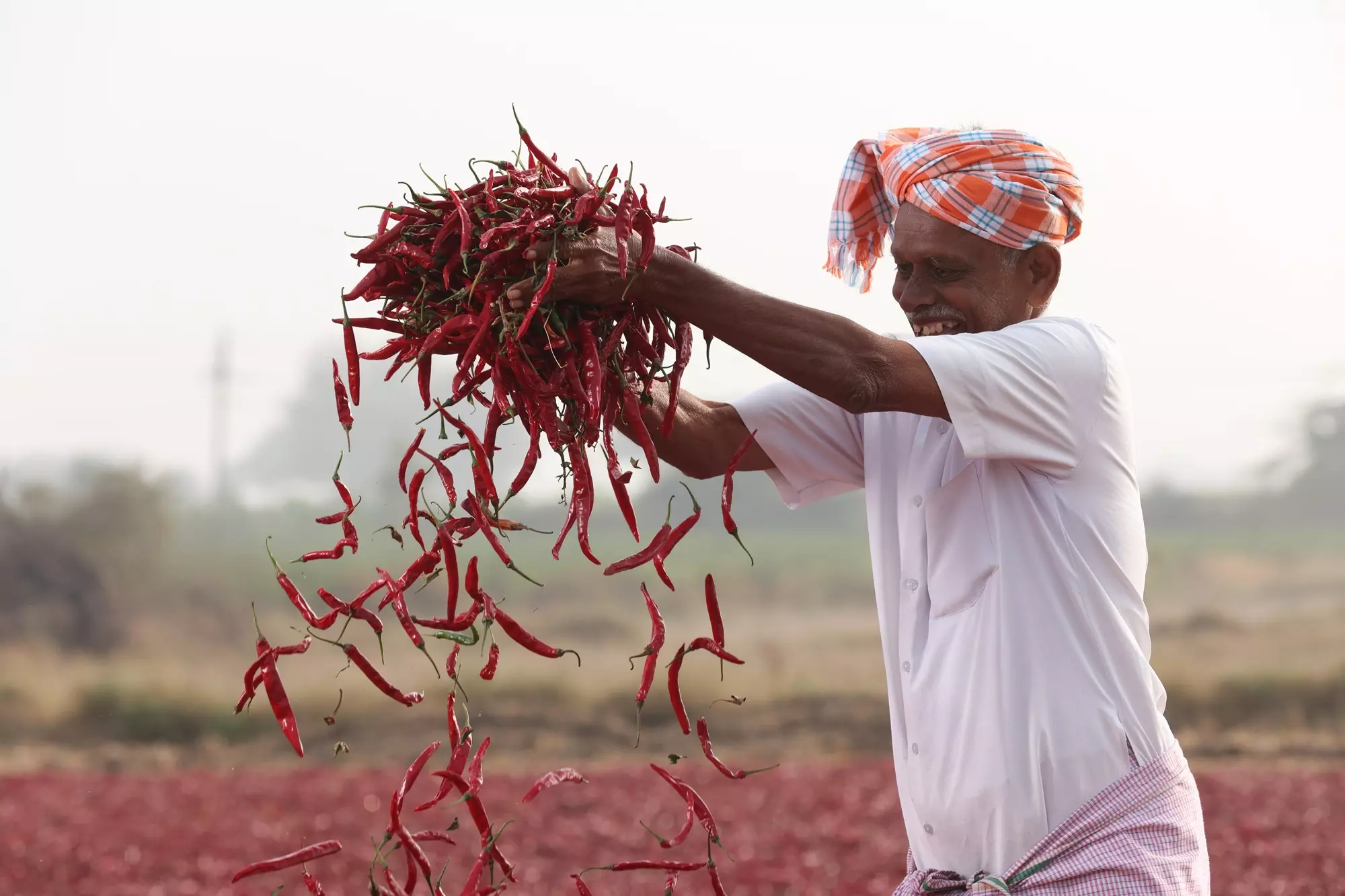 ITC Empowers Spice Farmers; Becomes India’s Leading Organic Spices Exporter ITC Empowers Spice Farmers; Becomes India’s Leading Organic Spices Exporter