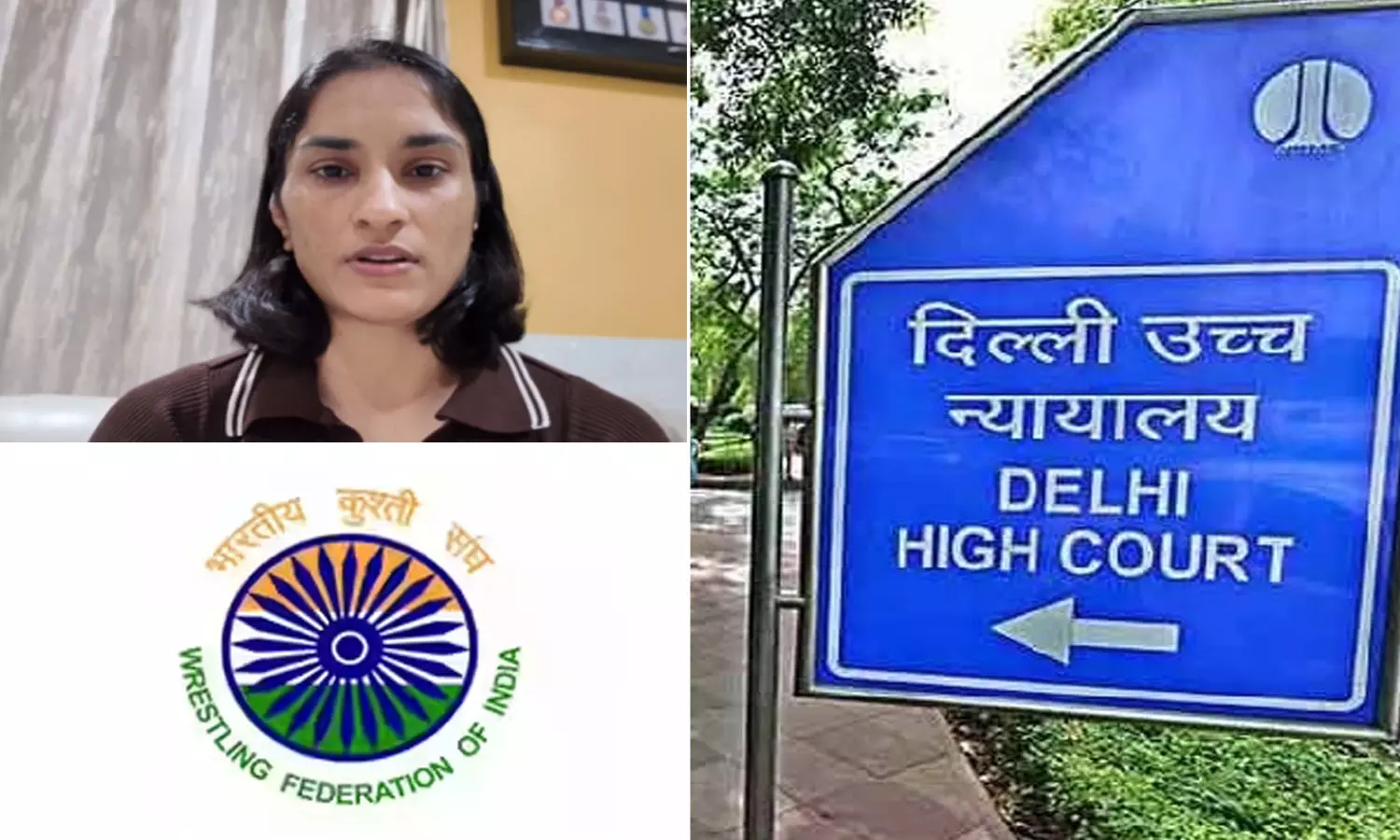 Delhi HC Raps WFI Over Decision To Declare Vinesh Phogat Ineligible Delhi HC Raps WFI Over Decision To Declare Vinesh Phogat Ineligible