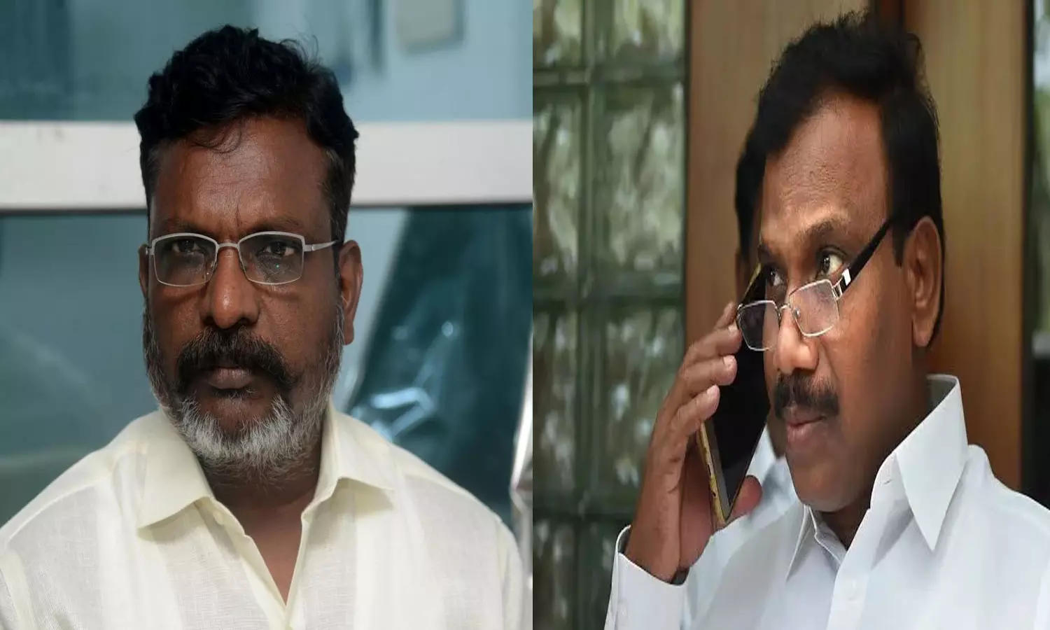 TVK Slams DMK's A Raja Over 'Bent Coconut Tree' Jibe