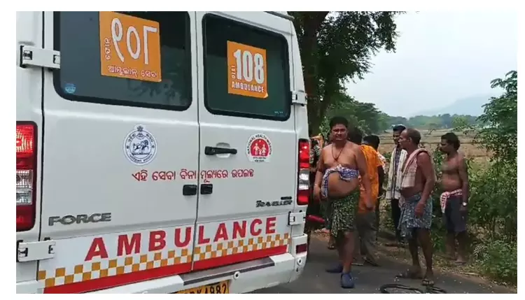 Six Killed, Four Critical As Speeding Bus Hits Auto In Odisha’s Ganjam Six Killed, Four Critical As Speeding Bus Hits Auto In Odisha’s Ganjam