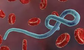 DC Edit | Aid Cuts Trigger Crisis Over Ebola DC Edit | Aid Cuts Trigger Crisis Over Ebola