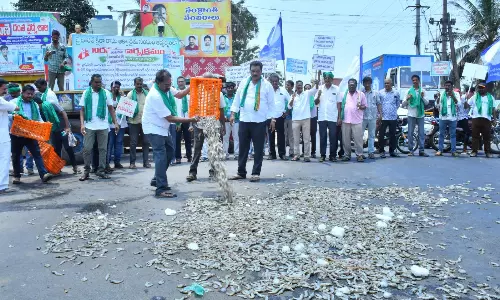Aqua Farmers Stage Protest, Dump Shrimp on Road Aqua Farmers Stage Protest, Dump Shrimp on Road