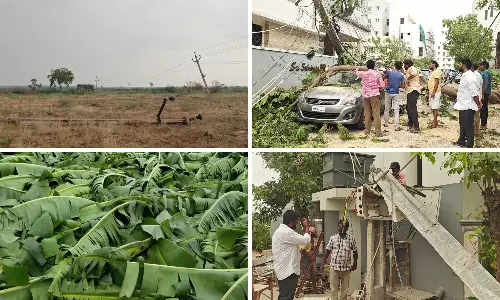 Gale Winds, Hailstorms Ravage Crops And Disrupt Power in Rayalaseema, Nellore