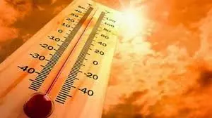 Heatwave Kills 20 Lakh Poultry Birds In Godavari Districts Heatwave Kills 20 Lakh Poultry Birds In Godavari Districts