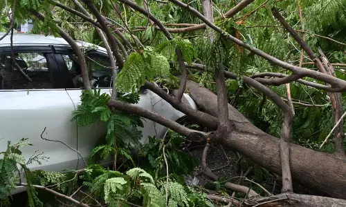 Gale Storm Devastates Kurnool, Nandyal Districts, Knocks Out Power Gale Storm Devastates Kurnool, Nandyal Districts, Knocks Out Power