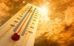 Dev 360 | Furnace Economy: Crisis Of Heatwaves & Inflation | Patralekha Chatterjee