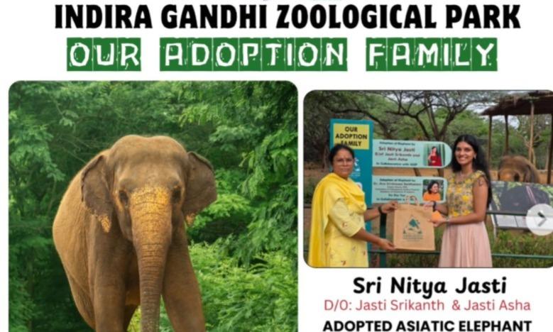 Girl Adopts Zoo Elephant ‘Sarswati’ on Birthday