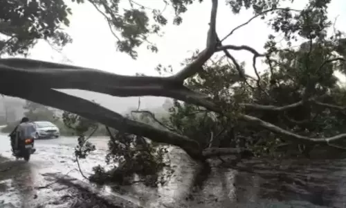 Storm Damages Power Network in North Andhra Storm Damages Power Network in North Andhra