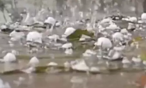 Hailstorm, Gales Wreak Havoc in Kadapa Hailstorm, Gales Wreak Havoc in Kadapa