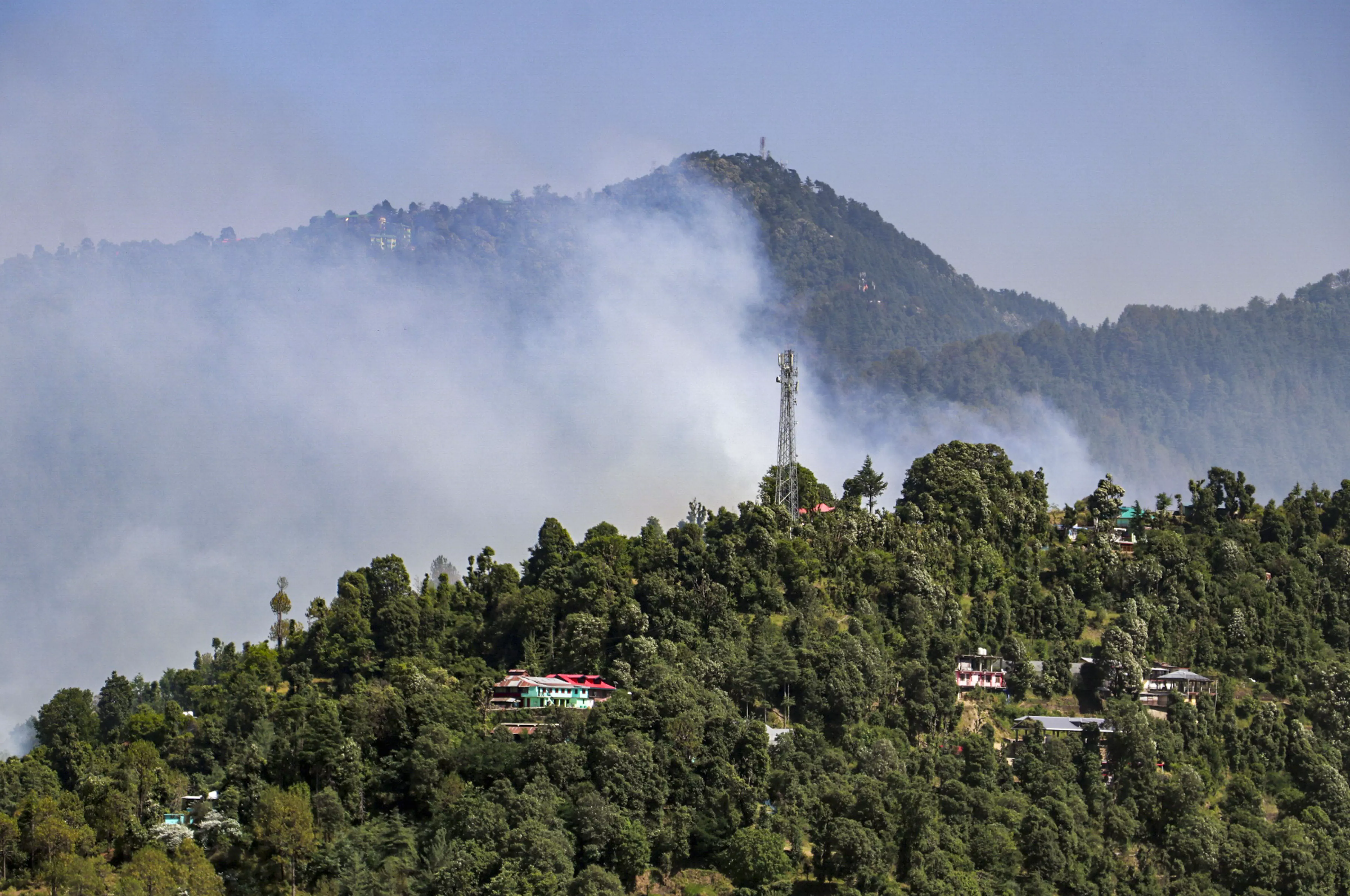 Massive Forest Fire Breaks Out in Himachal’s Solan District Massive Forest Fire Breaks Out in Himachal’s Solan District