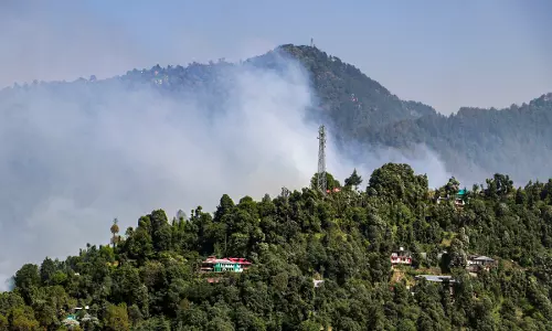 Massive Forest Fire Breaks Out in Himachal’s Solan District Massive Forest Fire Breaks Out in Himachal’s Solan District