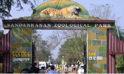 Mist Sprays, Foggers, Cooling Pools and Water-Rich Diets: Nandankanan Zoo Preps for ‘Intense Heat’