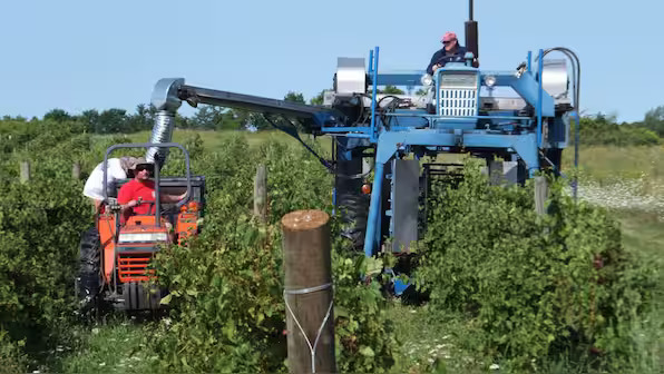 Vermont Becomes First US State to Ban Paraquat Over Parkinson’s Risk