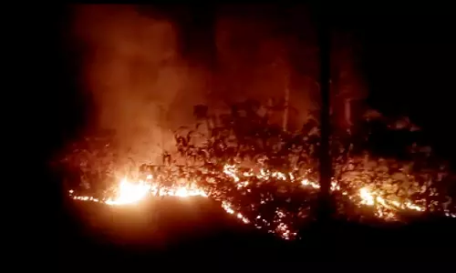 Massive Forest Fire in Solans Kasauli Beat Doused After 27 Hours Massive Forest Fire in Solans Kasauli Beat Doused After 27 Hours