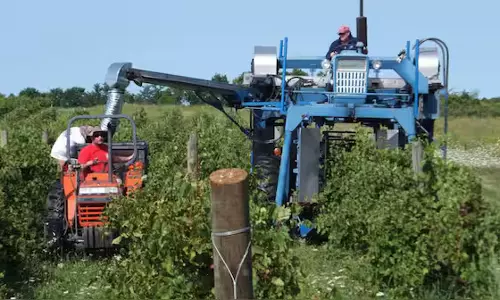 Vermont Becomes First US State to Ban Paraquat Over Parkinson’s Risk