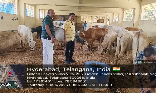 Malkajigiri Municipal Corporation Seizes 172 Animals Being Transported Illegally