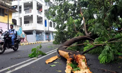 Storm in Kadapa; Several Villages Plunge into Darkness Storm in Kadapa; Several Villages Plunge into Darkness