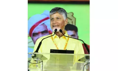 AP Eyes Global Leadership in Green Energy Sector: CM Naidu AP Eyes Global Leadership in Green Energy Sector: CM Naidu