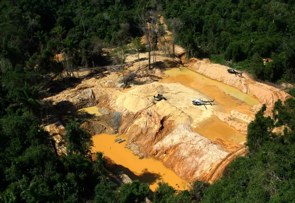 Illegal Miners Extract Billions In Amazon Gold, Greenpeace Finds Illegal Miners Extract Billions In Amazon Gold, Greenpeace Finds