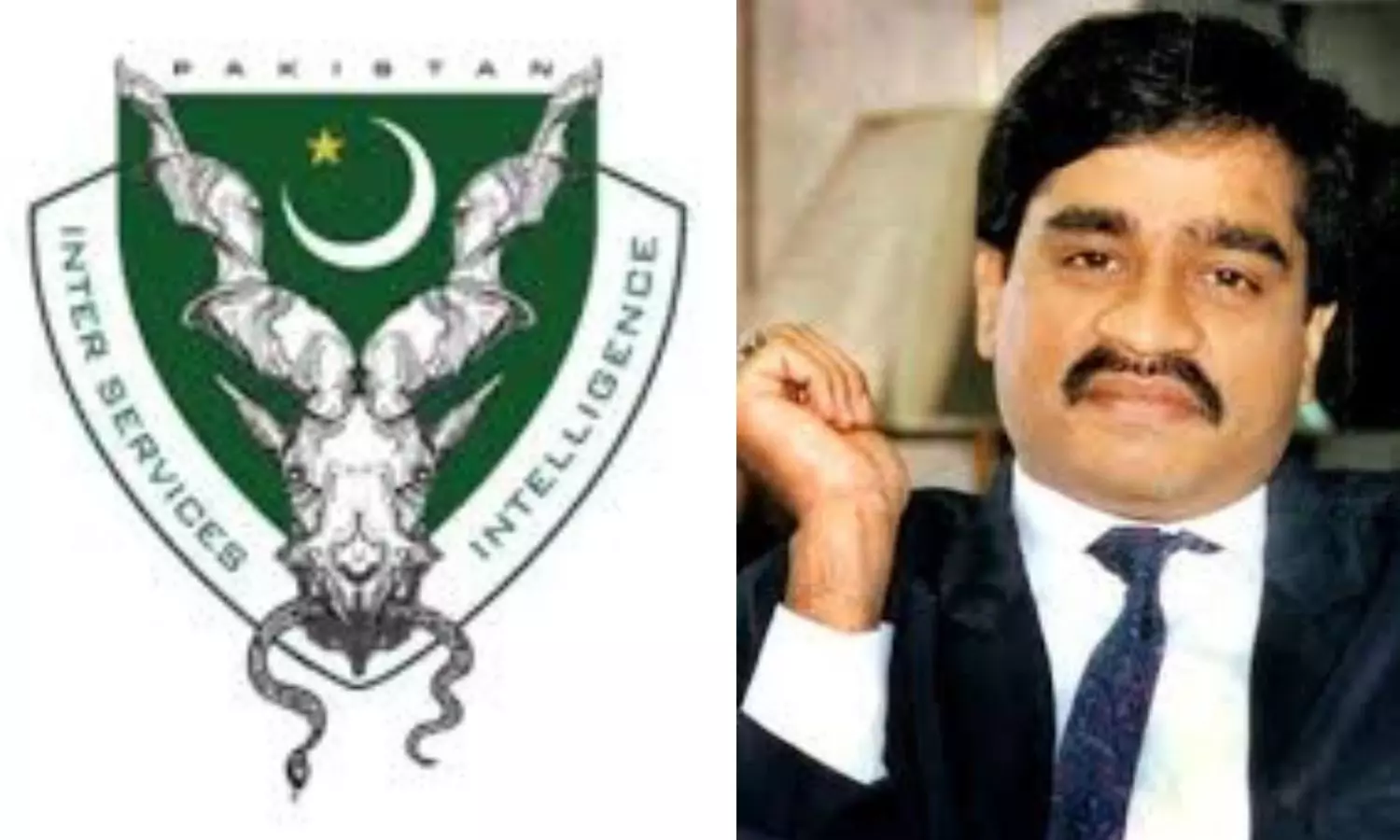 Dawood-ISI Nexus Exposed; 9 Arrested For Allegedly Plotting Attacks On Critical Installations, Religious Places Dawood-ISI Nexus Exposed; 9 Arrested For Allegedly Plotting Attacks On Critical Installations, Religious Places