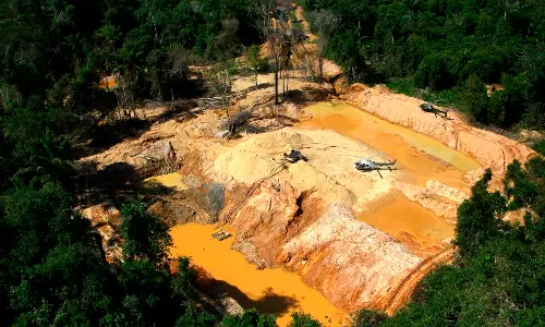 Illegal Miners Extract Billions In Amazon Gold, Greenpeace Finds Illegal Miners Extract Billions In Amazon Gold, Greenpeace Finds