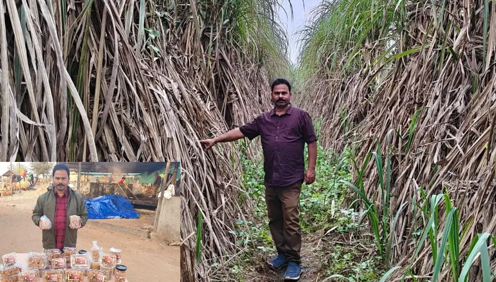 From Farmer To Agri-Entrepreneur: How Odisha’s Santosh Mishra Is Transforming Sugarcane Farming In Koraput From Farmer To Agri-Entrepreneur: How Odisha’s Santosh Mishra Is Transforming Sugarcane Farming In Koraput