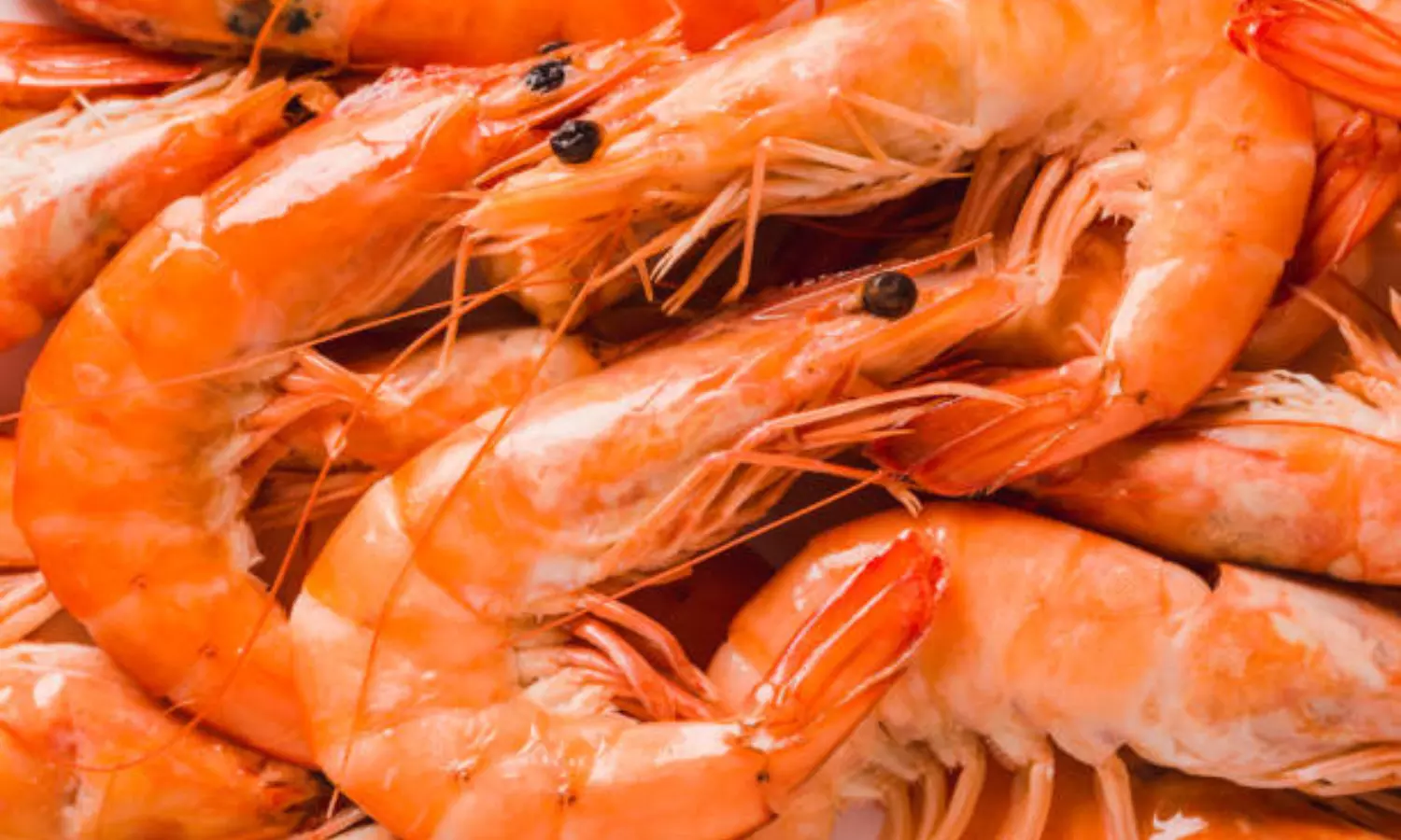 US, China Major Importers of Frozen Shrimps US, China Major Importers of Frozen Shrimps