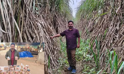 From Farmer To Agri-Entrepreneur: How Odisha’s Santosh Mishra Is Transforming Sugarcane Farming In Koraput From Farmer To Agri-Entrepreneur: How Odisha’s Santosh Mishra Is Transforming Sugarcane Farming In Koraput