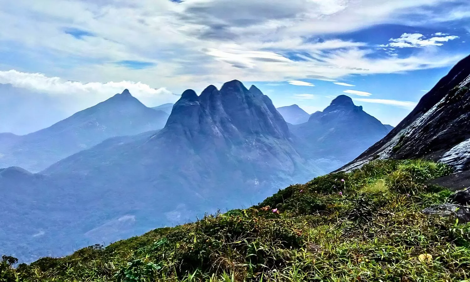 Remove all encroachments from Agasthyamalai Biosphere Reserve, says SC Remove all encroachments from Agasthyamalai Biosphere Reserve, says SC