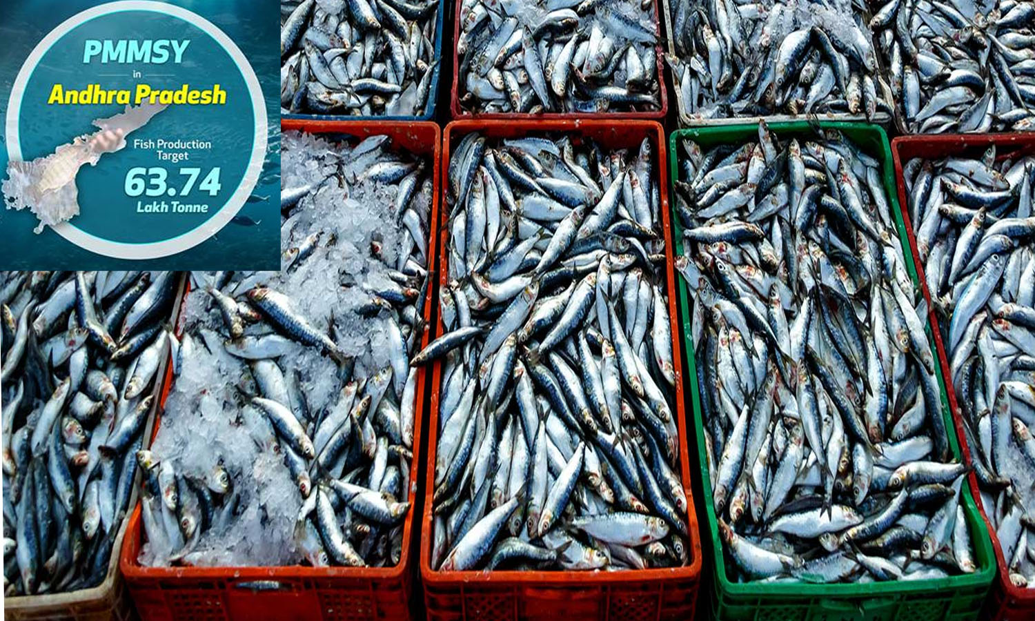 National Workshop On Boosting Seafood Exports From June 5-6