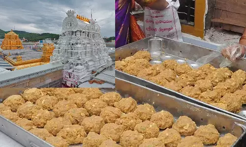 Tirumala Laddu Sales Hit All-Time High of 1.21 Crore In May Tirumala Laddu Sales Hit All-Time High of 1.21 Crore In May