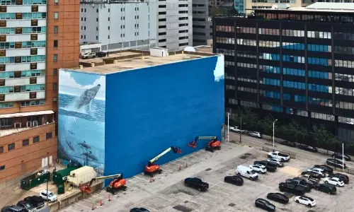 American Artist Sues FIFA for Destructing Whaling Walls Mural