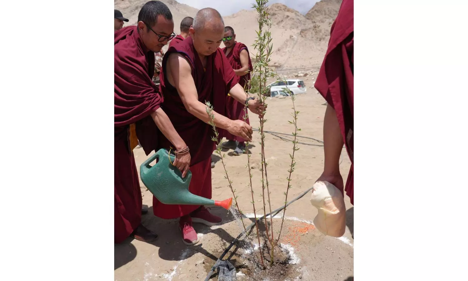 Thiksey Monastery Leads Major Plantation Drive to Green Ladakh Thiksey Monastery Leads Major Plantation Drive to Green Ladakh