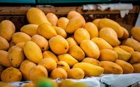 King of Fruits Travels Across The World