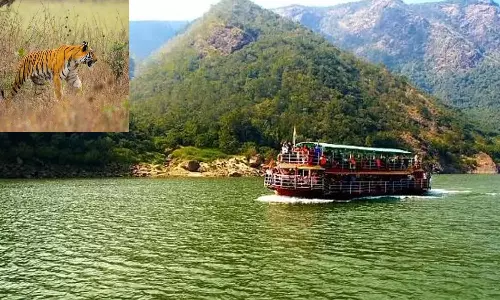 Papikondalu Tourist Footfall Impacted Due To Tiger Presence