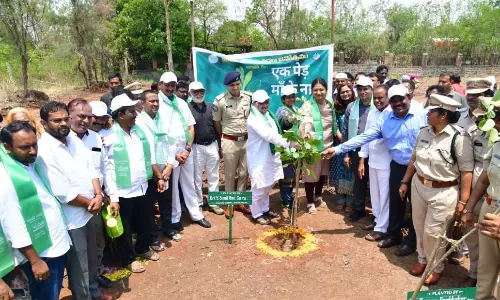 Green Day: Minister Leads Plantation Drive at Park Green Day: Minister Leads Plantation Drive at Park