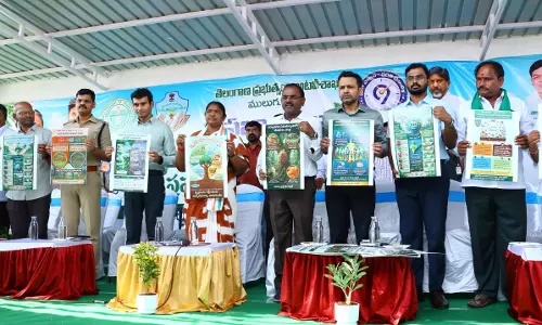 Seethakka Calls For Public Role In Forest Protection Seethakka Calls For Public Role In Forest Protection