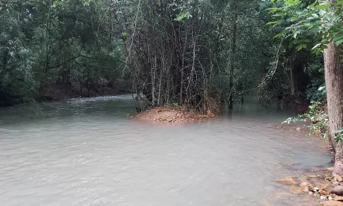 Mamandur forest treks offers blend Of Nature, History, And Adventure Mamandur forest treks offers blend Of Nature, History, And Adventure