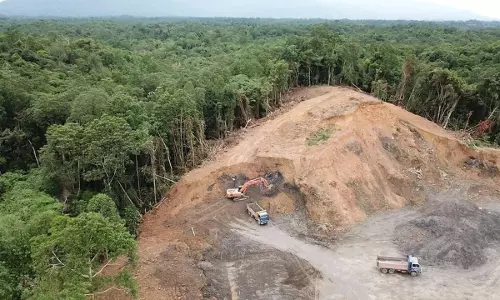 Biodiversity-Linked Downgrades Could Push India Closer To Sovereign Default : Research Biodiversity-Linked Downgrades Could Push India Closer To Sovereign Default : Research